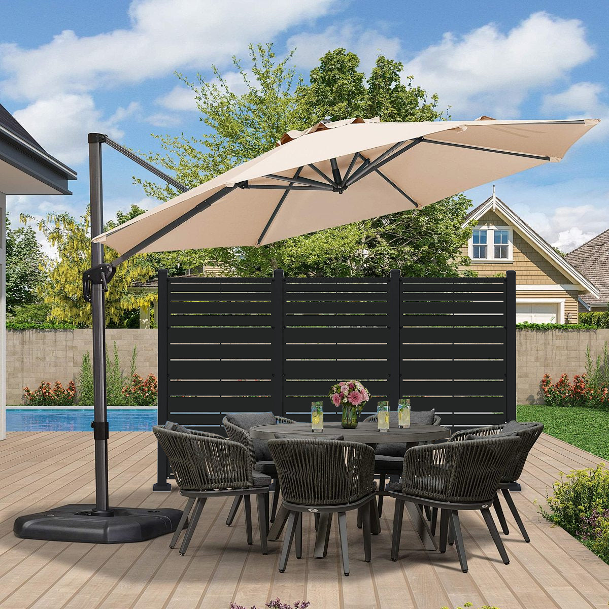 Privacy Screen (Ribbon)